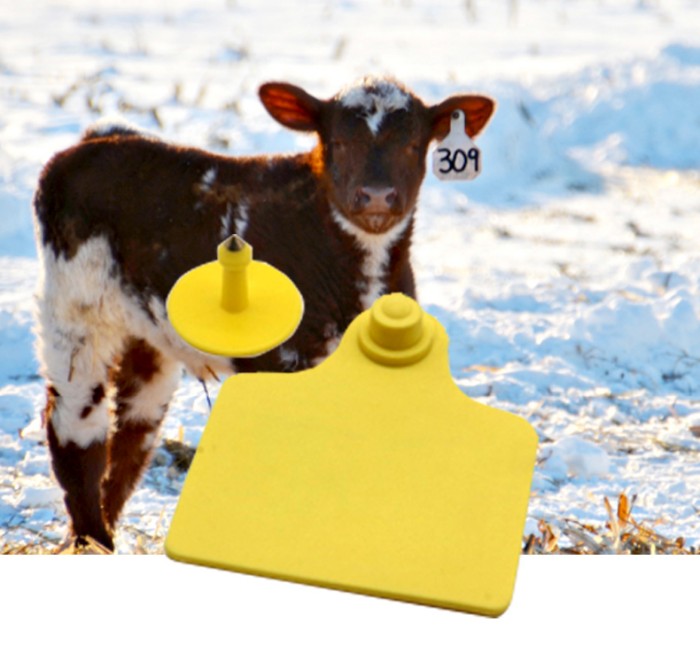 RFID animal tag.jpg RFID animal tag.jpg